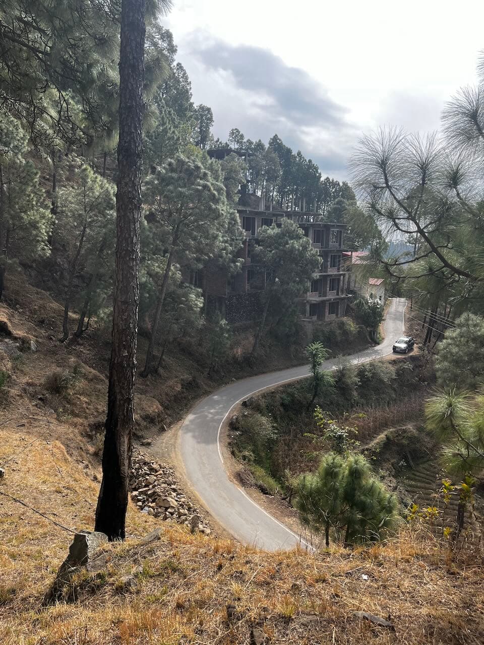 The road leading up to the site