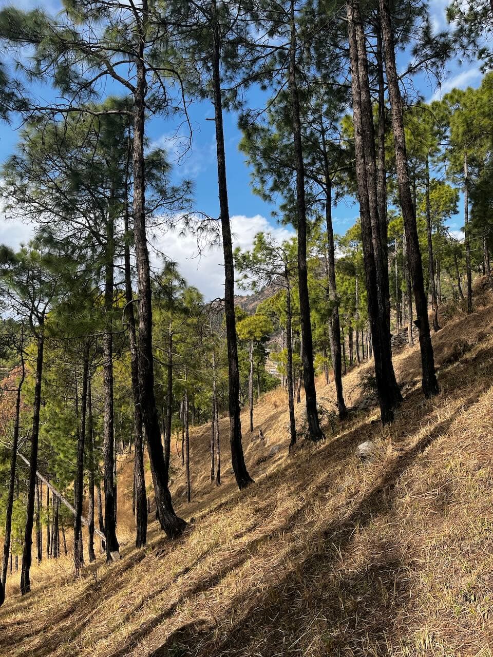 Billy Goat Resort - Site View