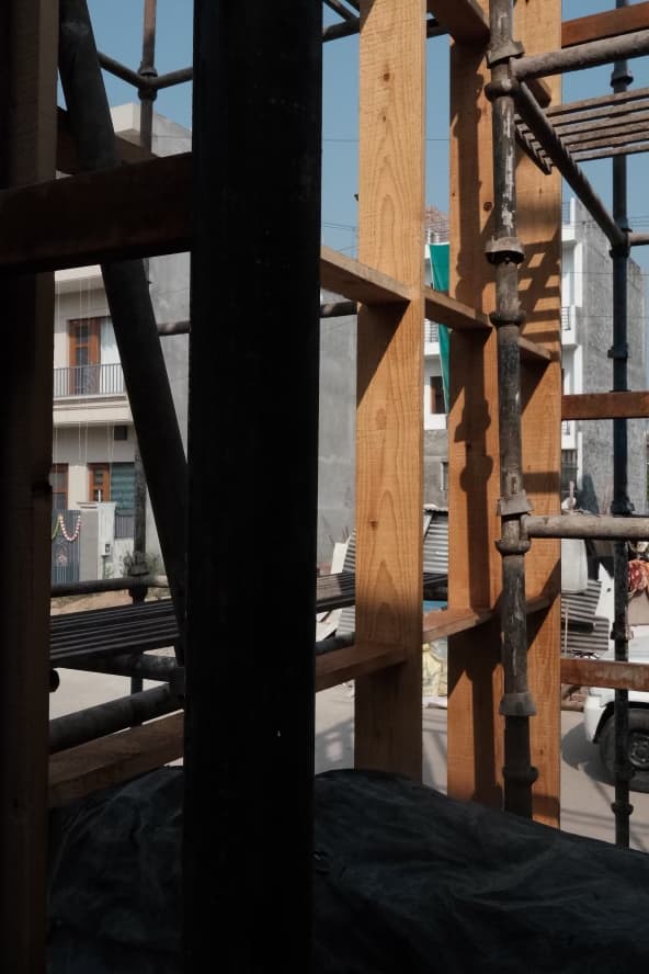 DBH - Pine wall evening light